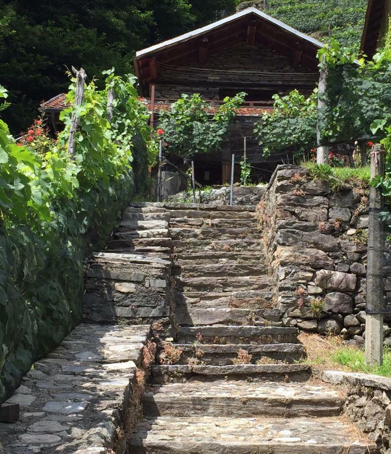 Casa Immersa Nel Vigneto Roveredo Eksteriør bilde