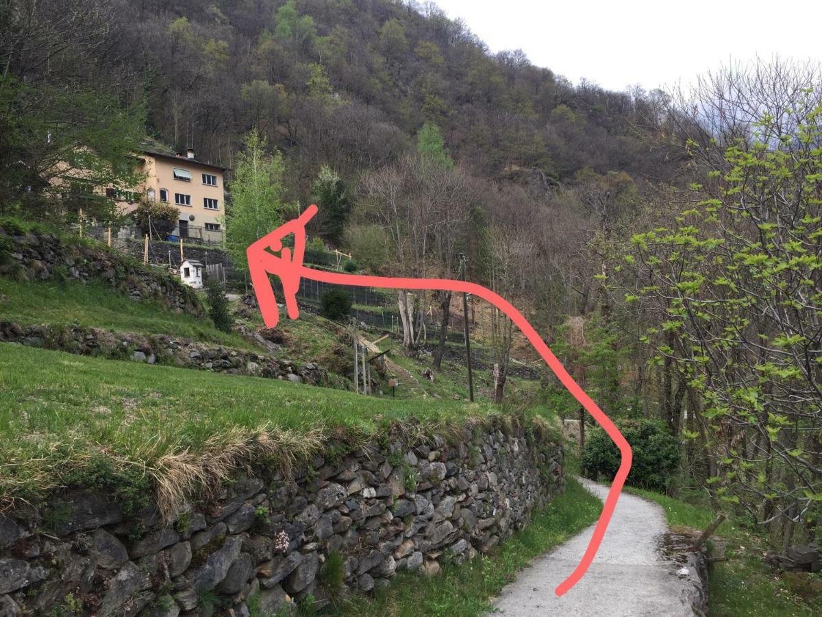 Casa Immersa Nel Vigneto Roveredo Eksteriør bilde